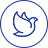 抖圈APP-为du而生官网入口